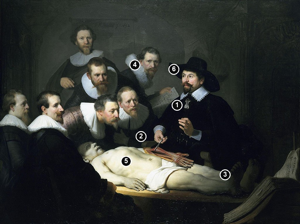 Annotated details from The Anatomy Lesson of Dr Nicolaes Tulp by Rembrandt van Rijn
